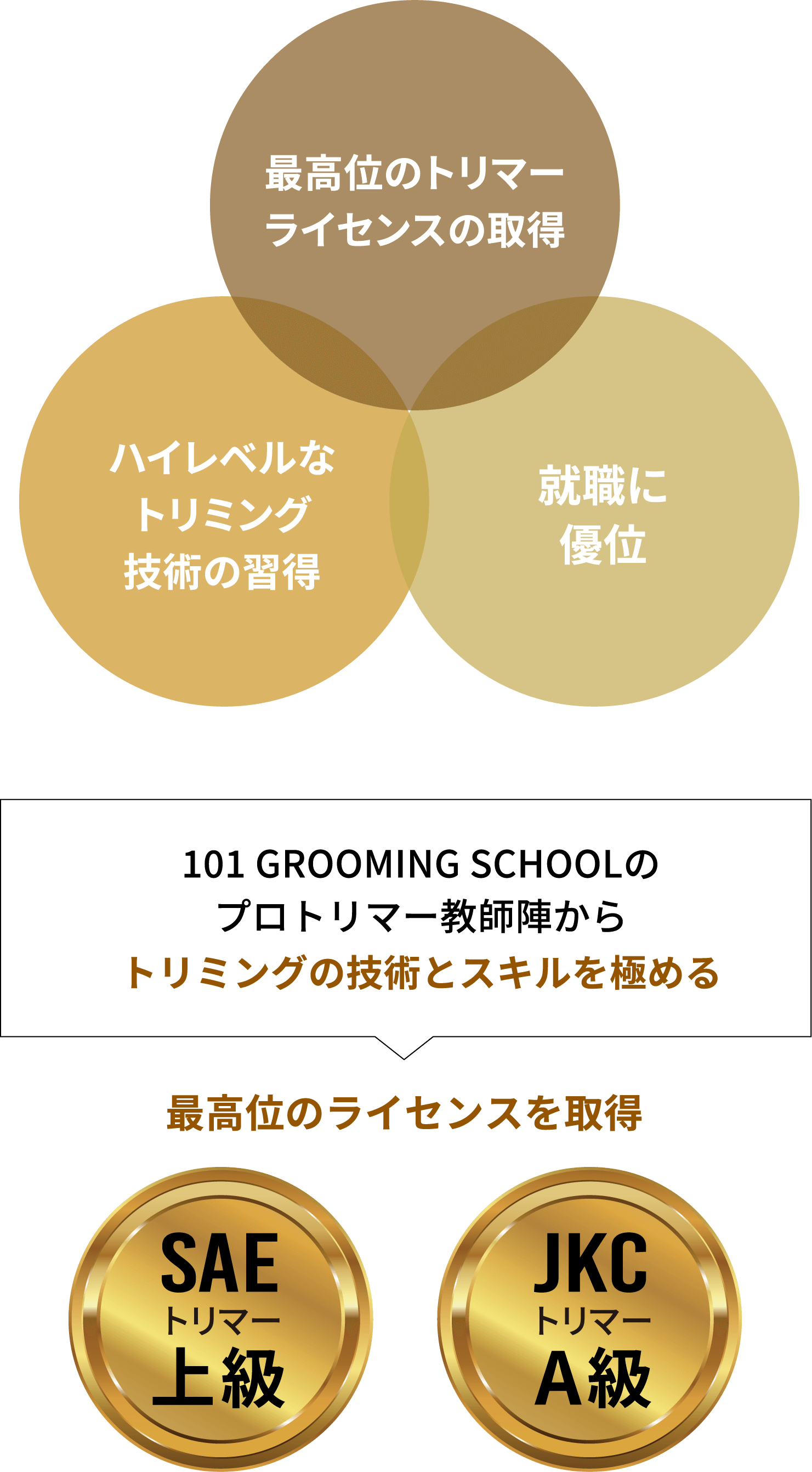 A級コースのポイント
