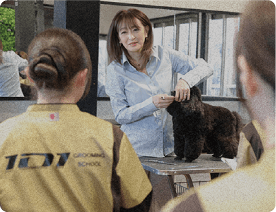 トリマーアドバンスコース