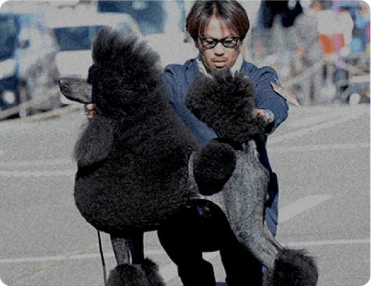 A級コース