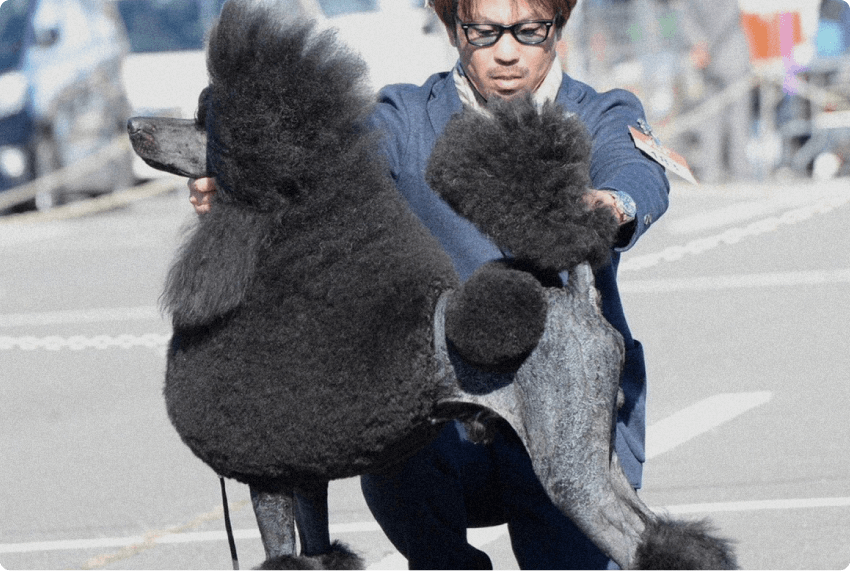 A級コース