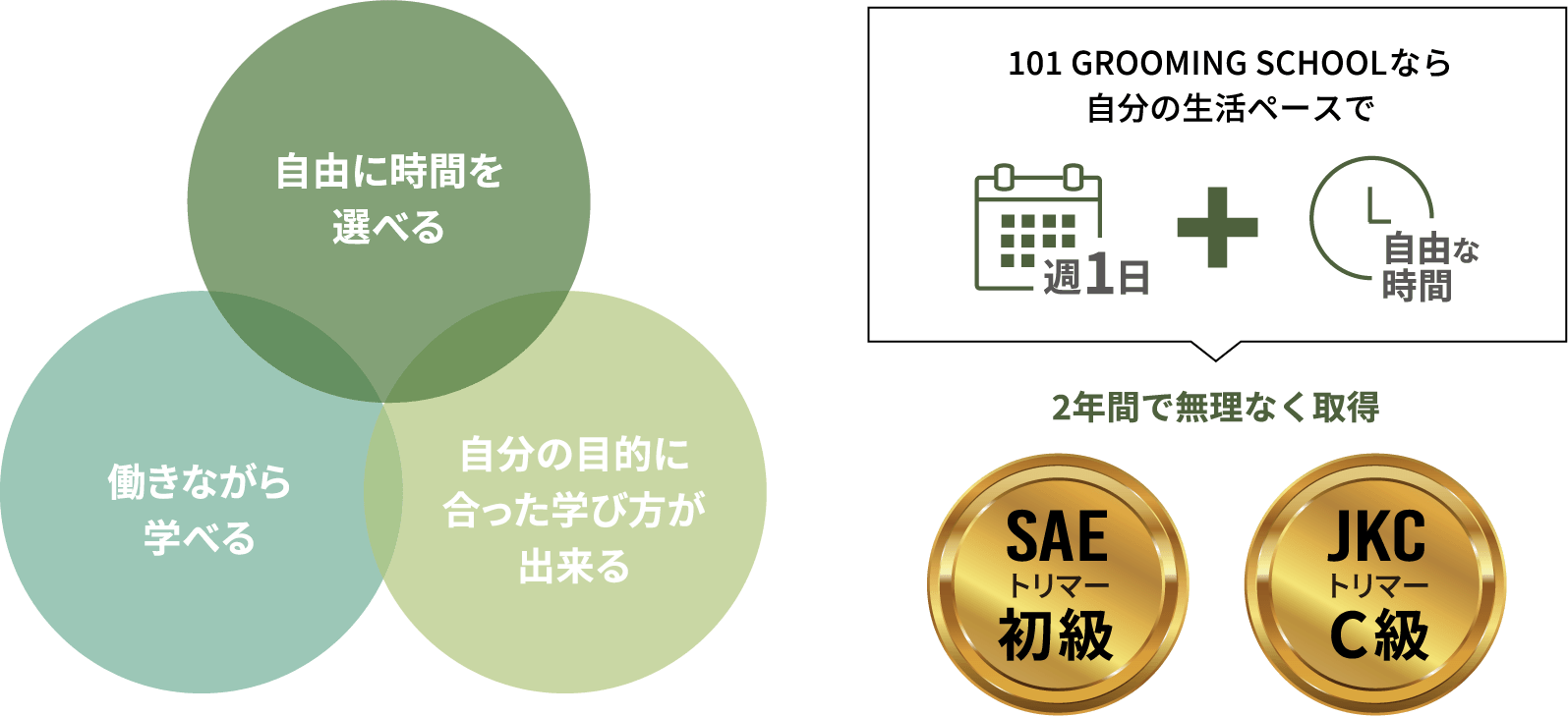 フリータイムコースのポイント