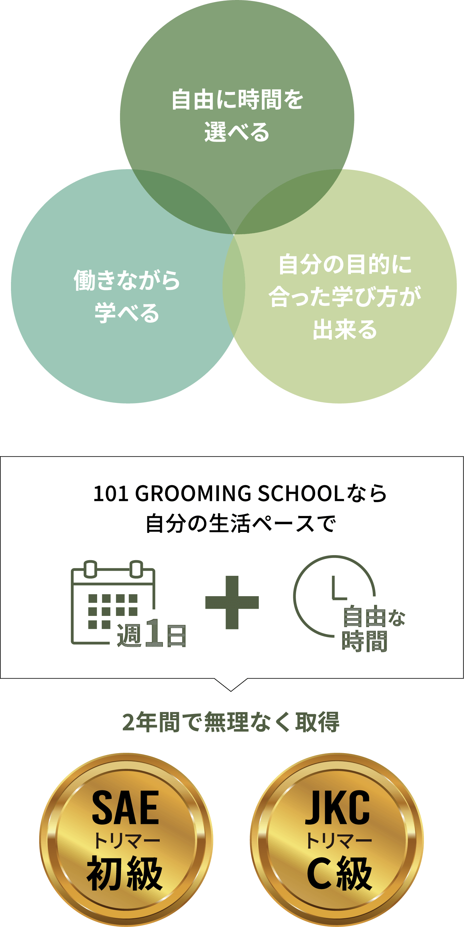 フリータイムコースのポイント