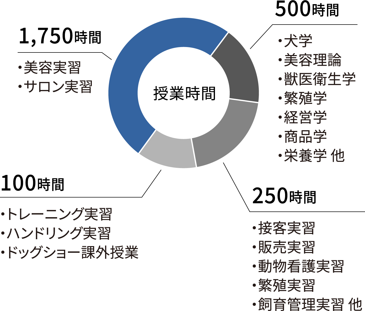 トリマーコースの授業割合