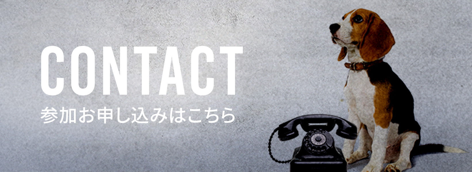 参加お申し込みはこちら