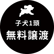 子犬1頭無料譲渡