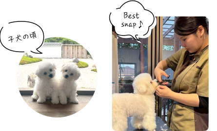 子犬の頃、BestSnap