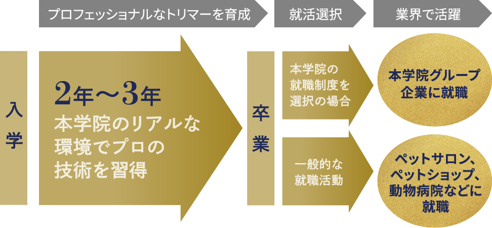 ポイント