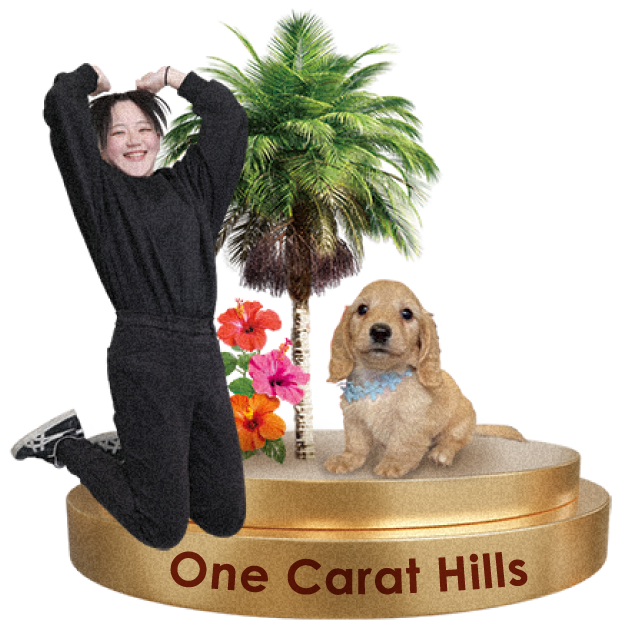 One Carat Hills