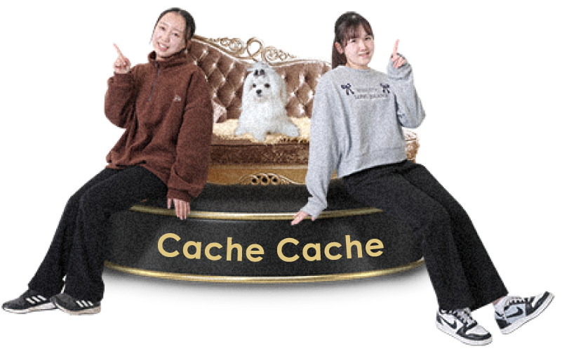 CacheCache