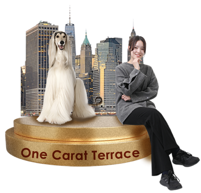 One Carat Terrace
