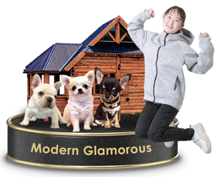 Modern Glamorous