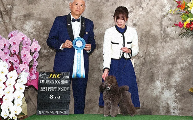 犬舎実習の際に産まれたてのこの子に出会い、共に成長しベストパピー3rdを獲得致しました。