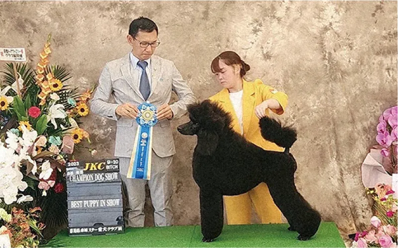 パートナードッグと共にパピークラスで“BIS”1番を獲得致しました。