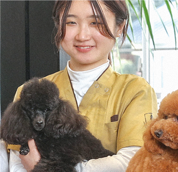 プリンちゃん