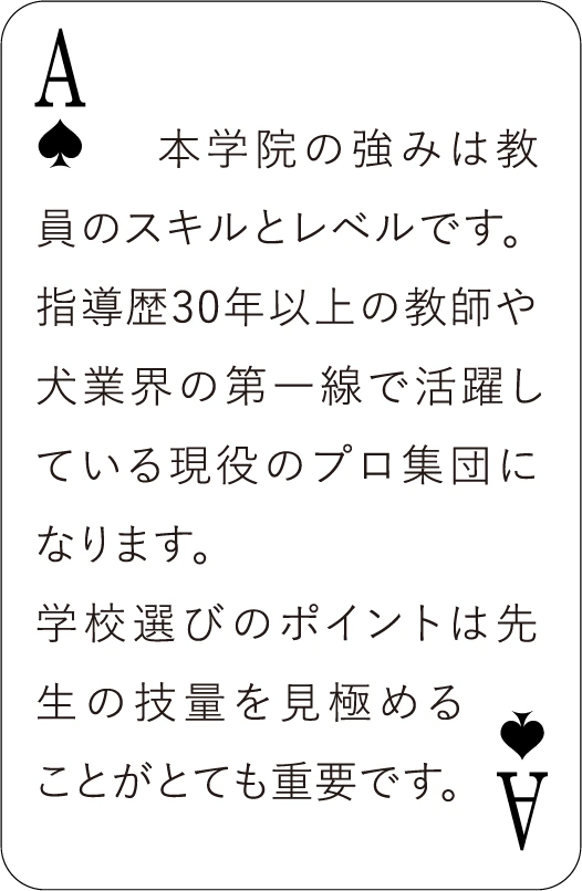 カード表