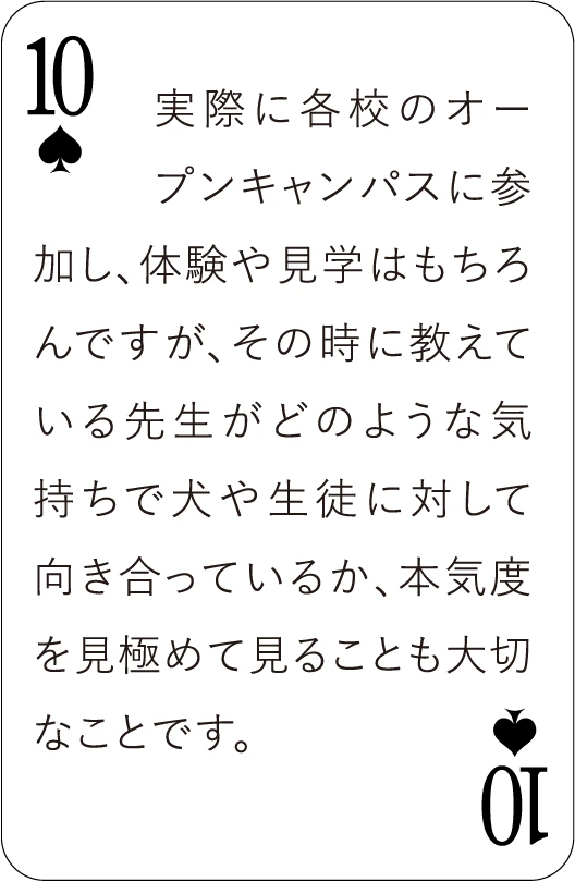 カード表