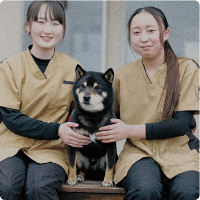 スクールライフ