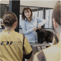 トリマーアドバンスコース